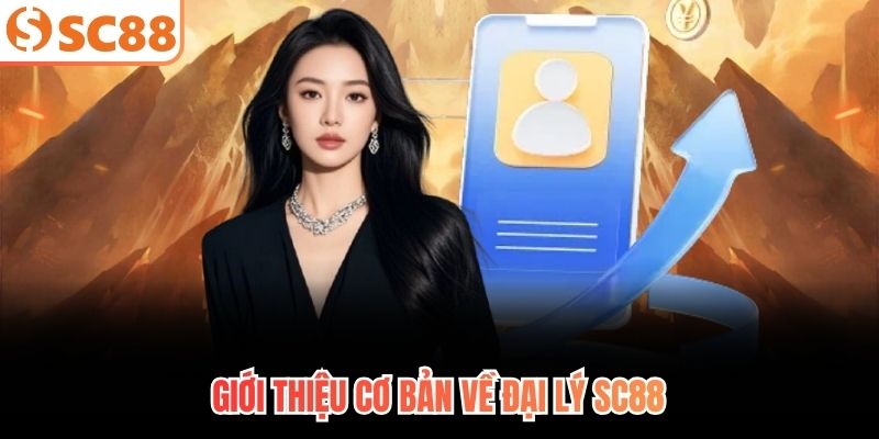 Giới thiệu cơ bản về đại lý SC88
